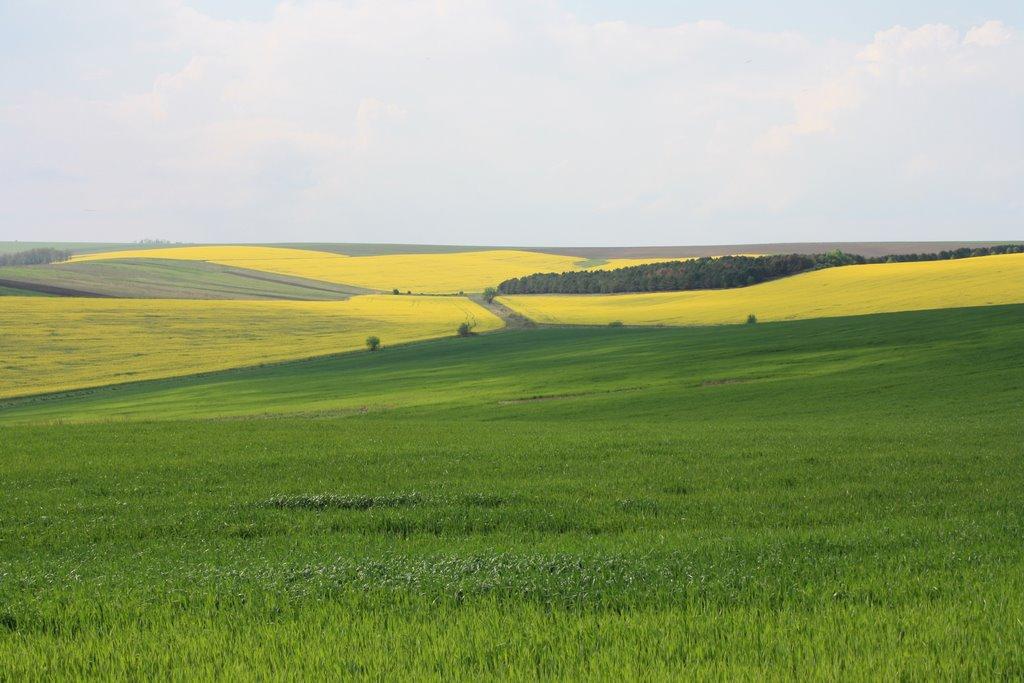 Ярмолинці з panoramio.com - Ярмолинцы