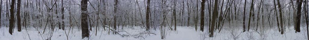 Приліпка з panoramio.com - Прилипка