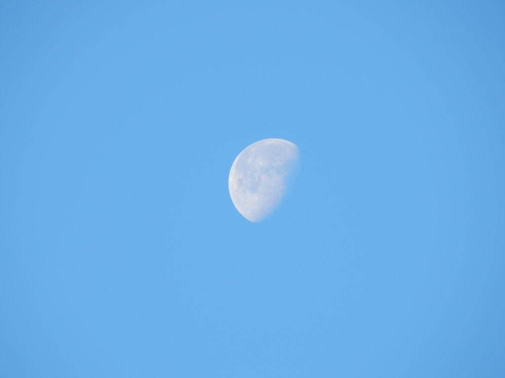 Оріхове з panoramio.com - Оріхове