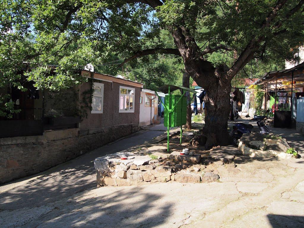 Запрудне з panoramio.com - Запрудне