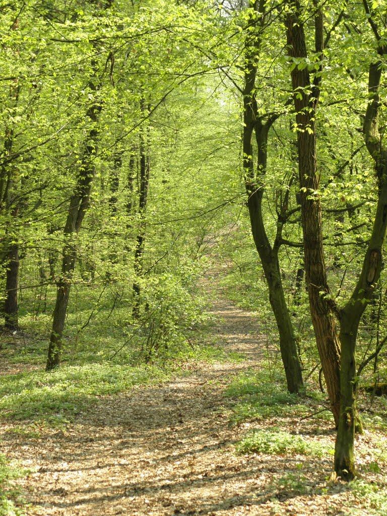 Комарно з panoramio.com - Комарно