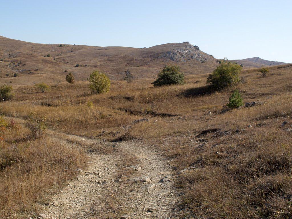 Пчолине з panoramio.com - Pcholyne