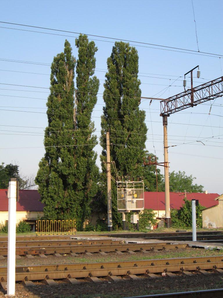 Вознесенськ з panoramio.com - Вознесенськ