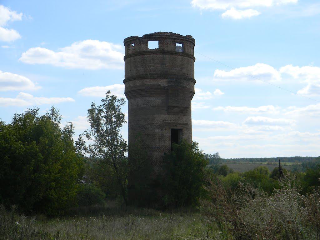 Несваткове з panoramio.com - Несваткове