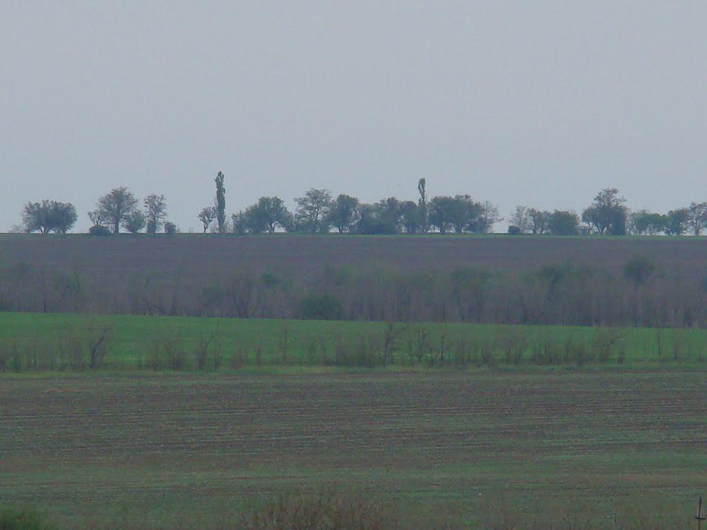 Червоногірка з panoramio.com - Червоногорка