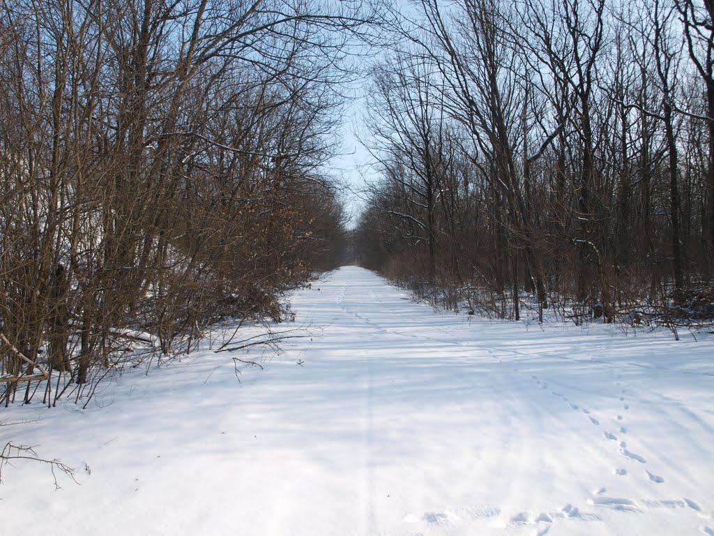Малинівка з panoramio.com - Малиновка