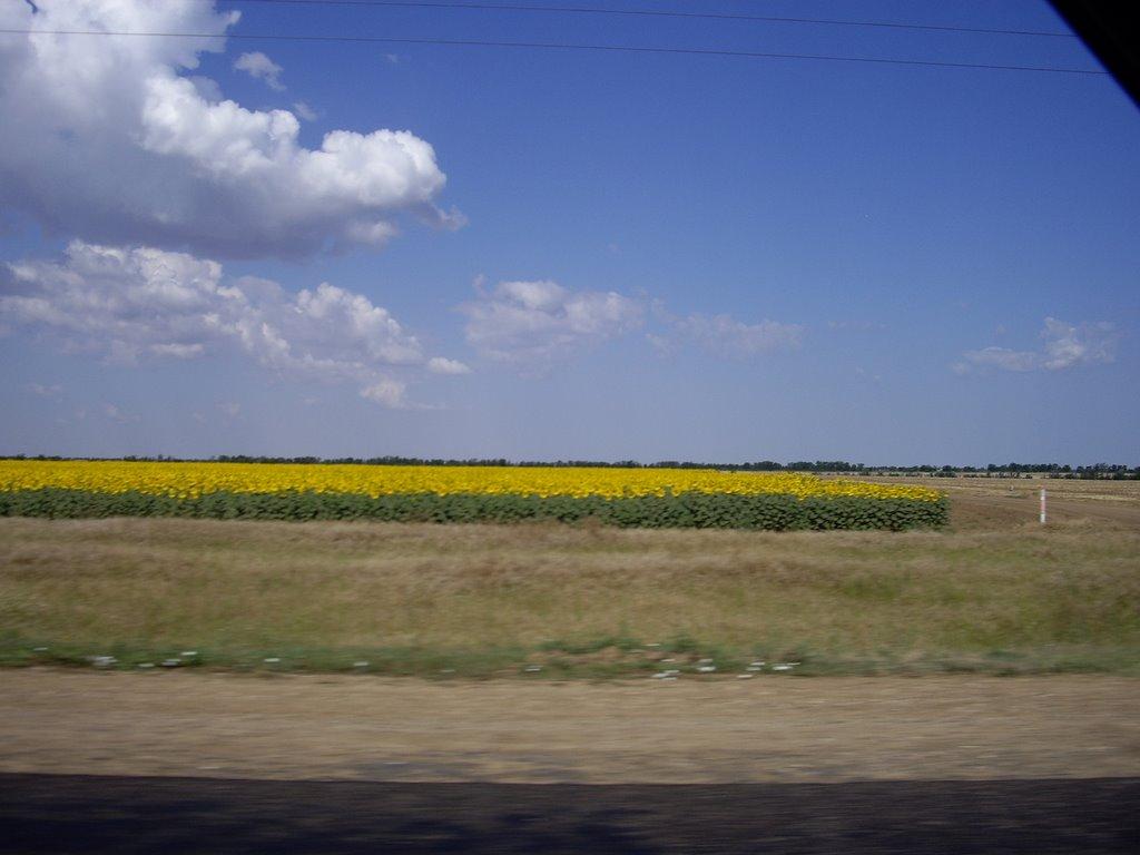 Іллінка з panoramio.com - Іллінка