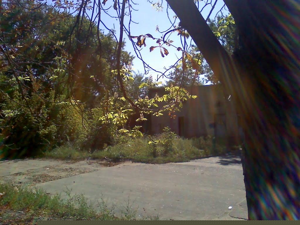 Омельник з panoramio.com - Омельник