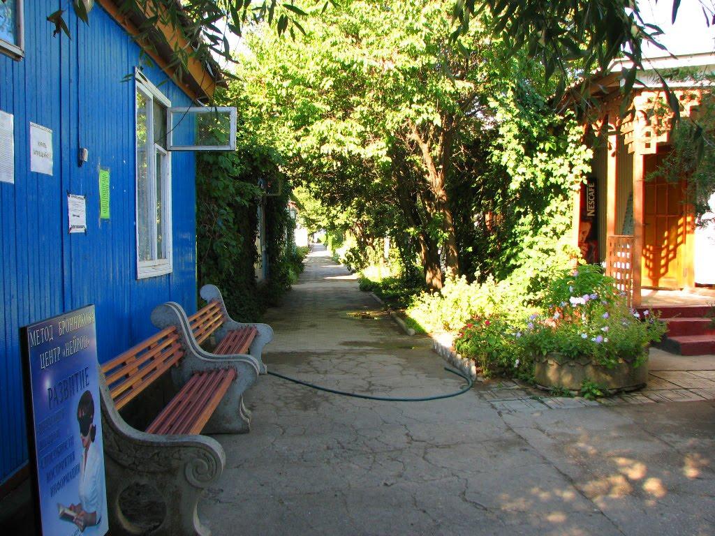 Фрунзе з panoramio.com - Фрунзе