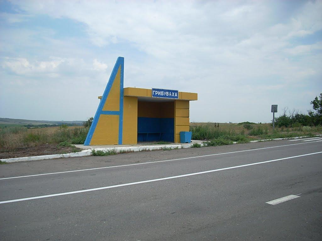 Грибуваха з panoramio.com - Грибуваха