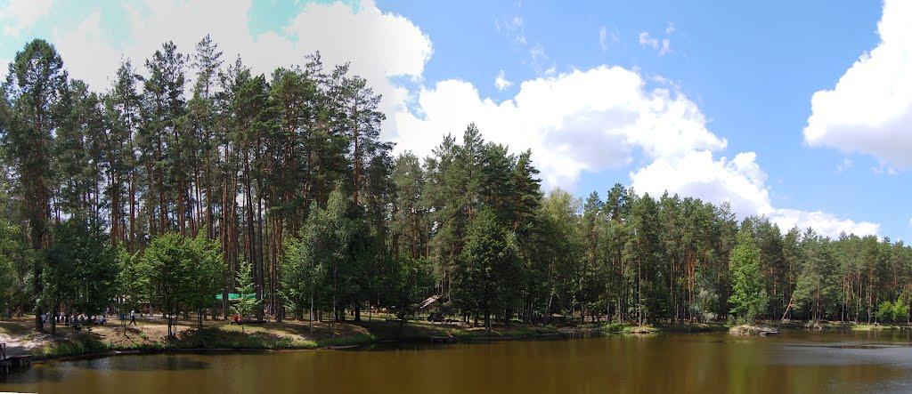 Клавдієво-Тарасове з panoramio.com - Klavdiyevo-Tarasove