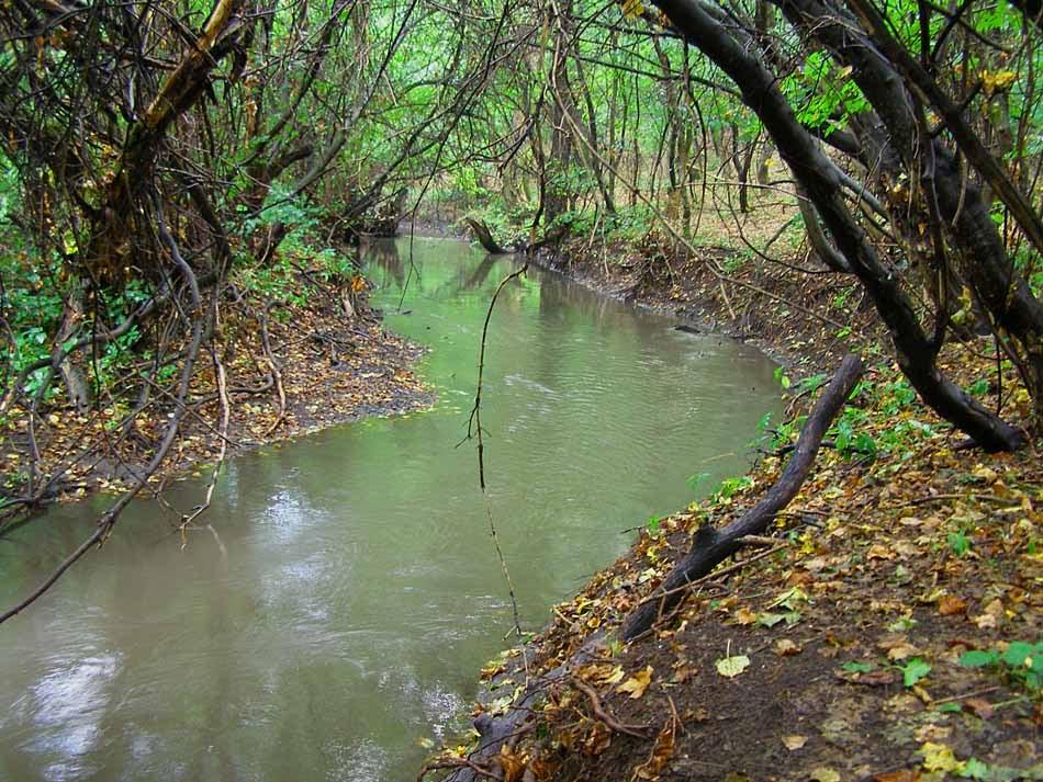 Малоіванівка з panoramio.com - Малоіванівка