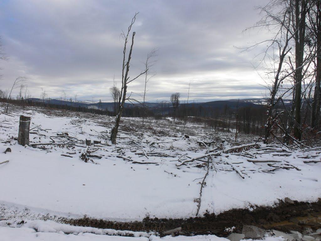 Бедевля з panoramio.com - Бедевля