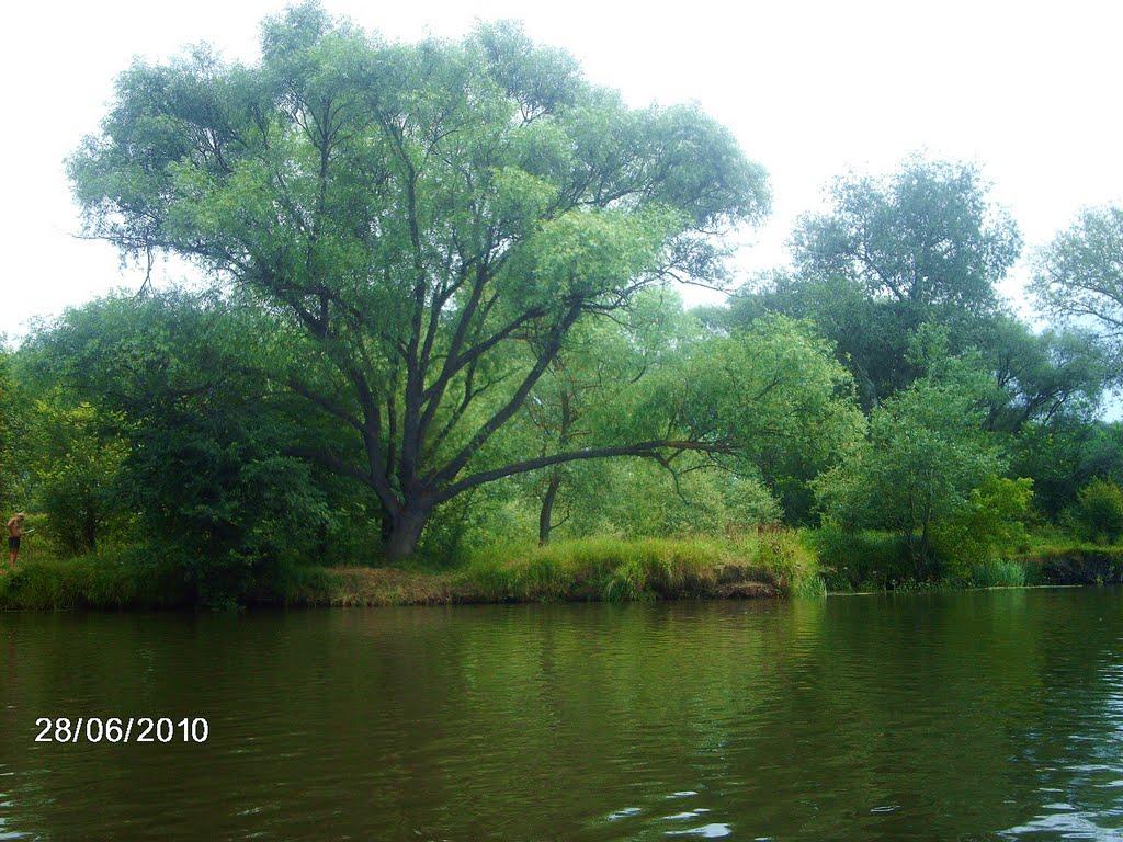 Щурове з panoramio.com - Schurove