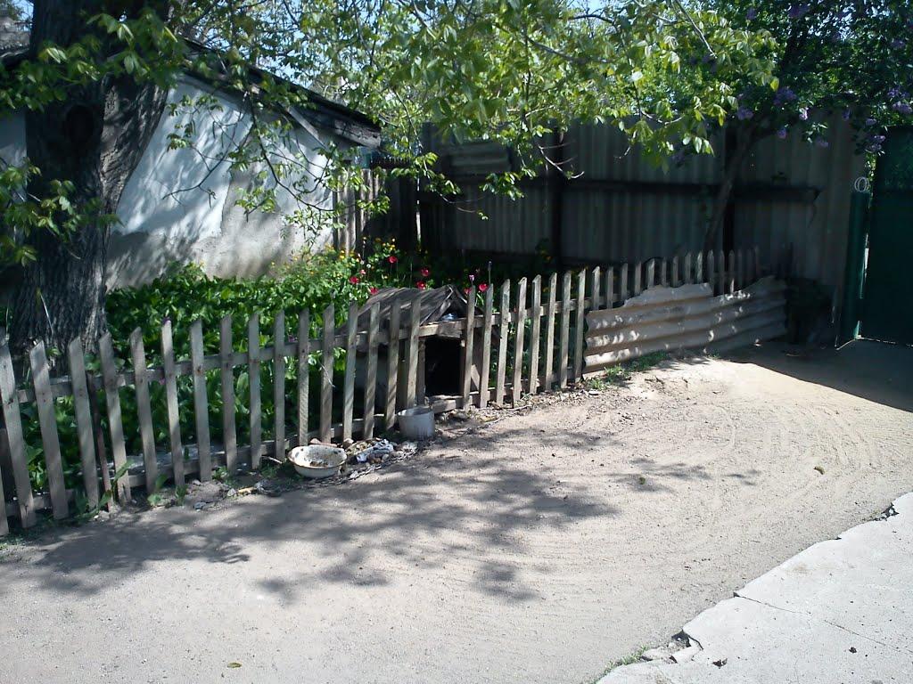 Новополтавка з panoramio.com - Novopoltavka