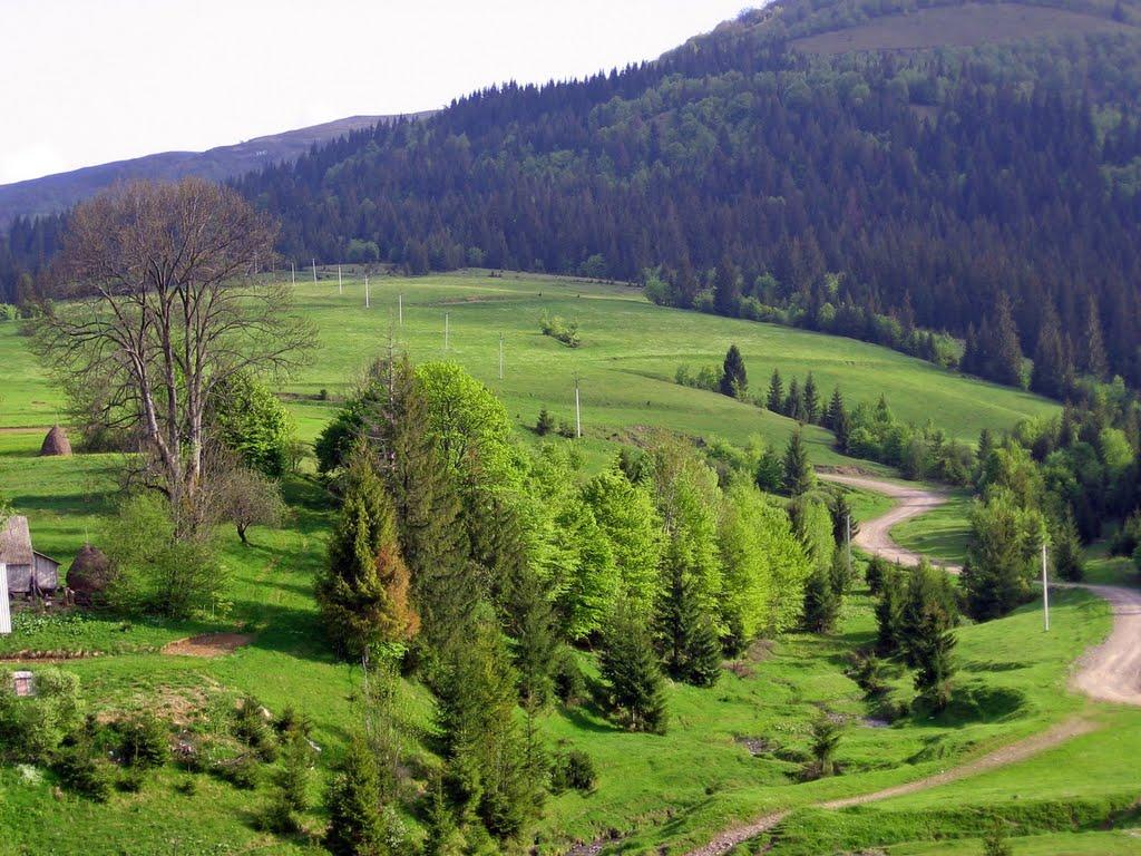 Пилипець з panoramio.com - Пилипець