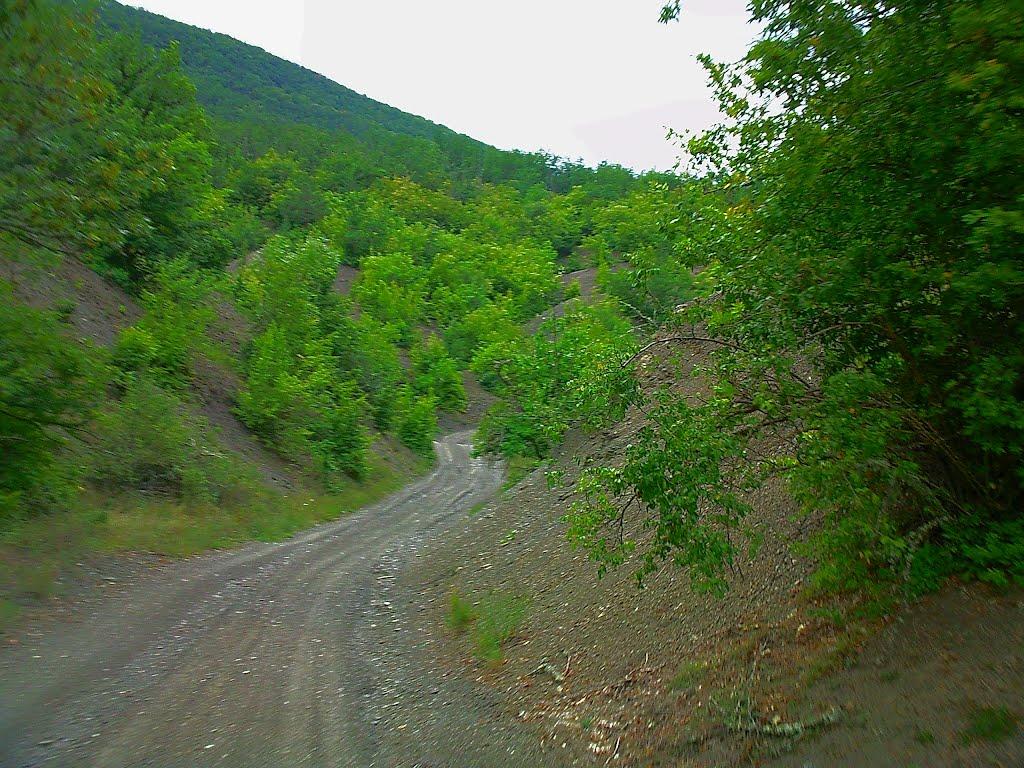 Щасливе з panoramio.com - Счастливое