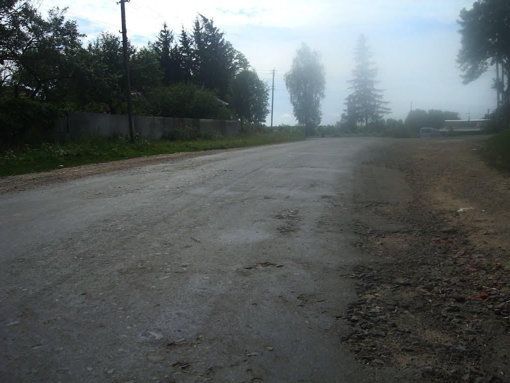 Ружичанка з panoramio.com - Ружичанка