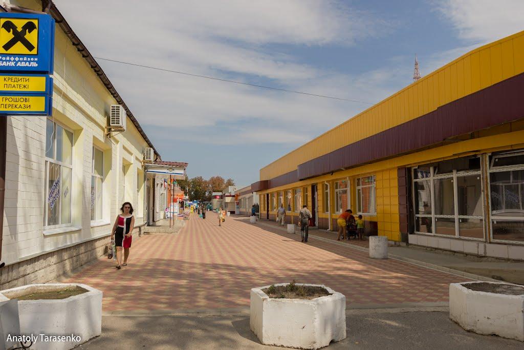 Карлівка з panoramio.com - Карлівка