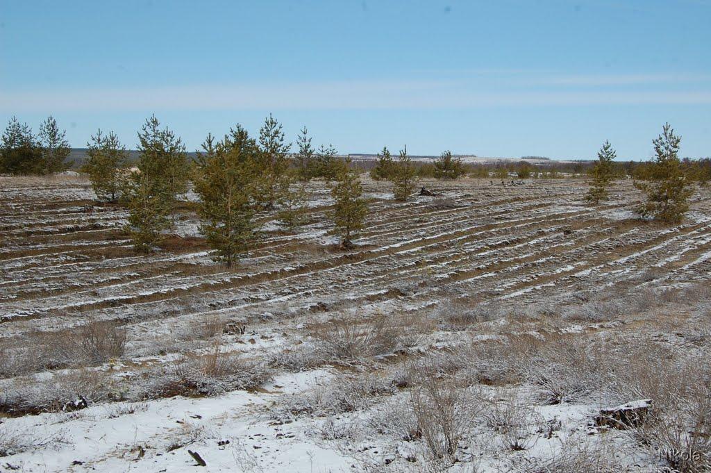 Боровеньки з panoramio.com - Borovenky