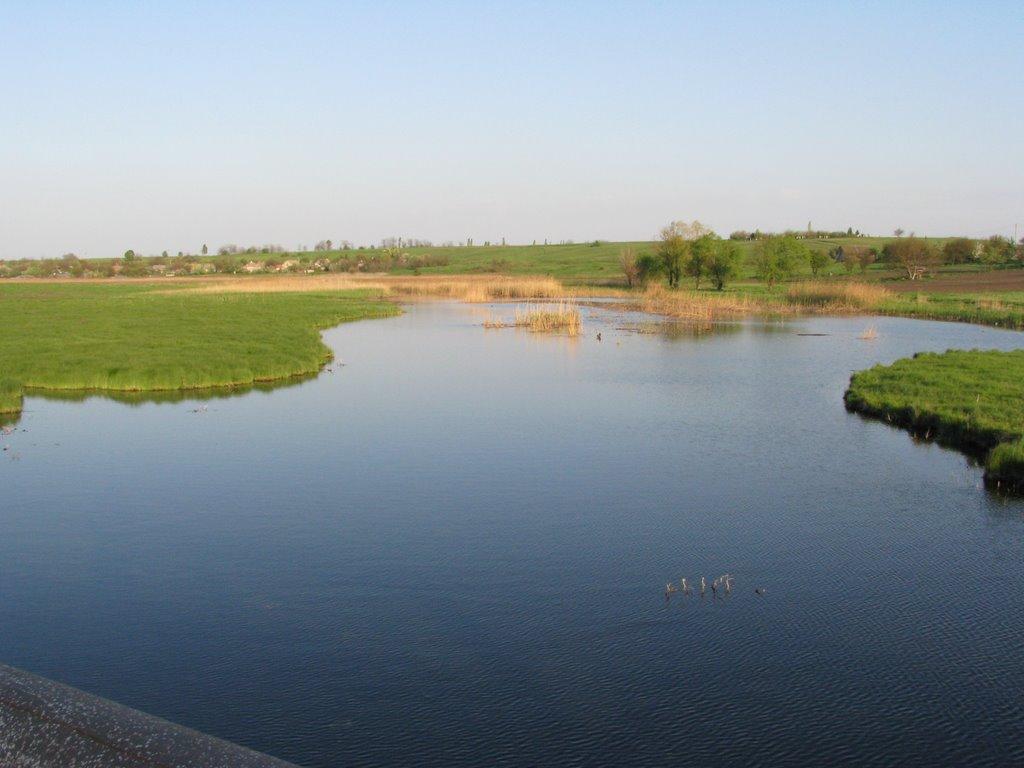 Велика Білозерка з panoramio.com - Велика Білозерка