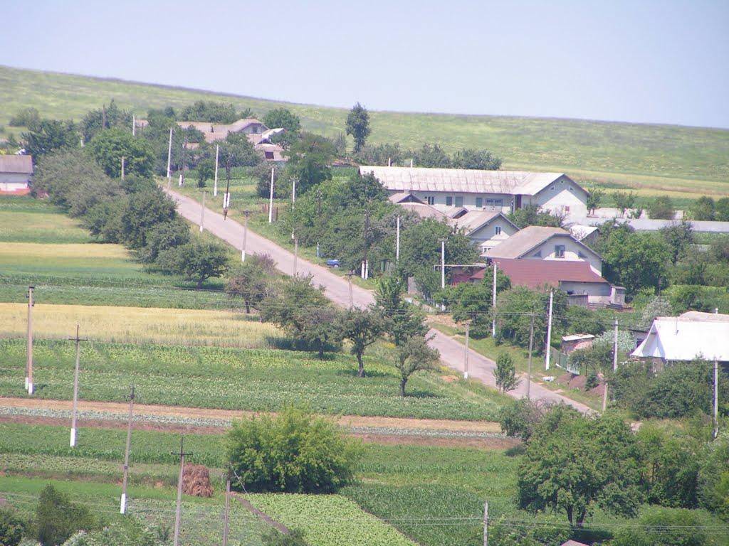 Гончарів з panoramio.com - Гончаров