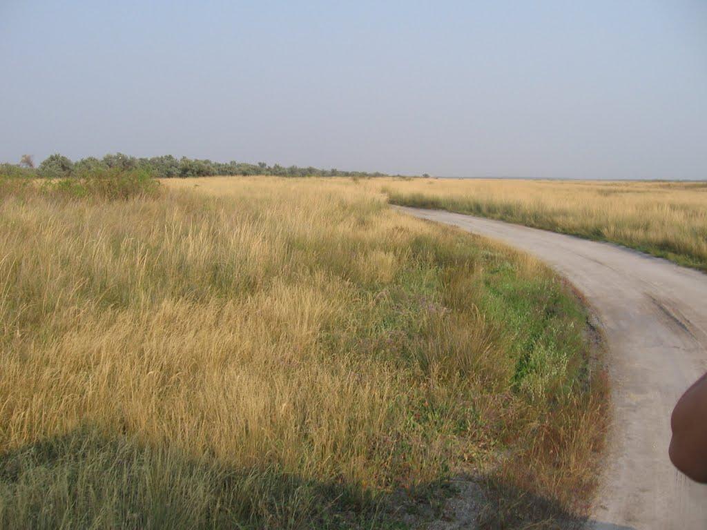 Очаків з panoramio.com - Очаков