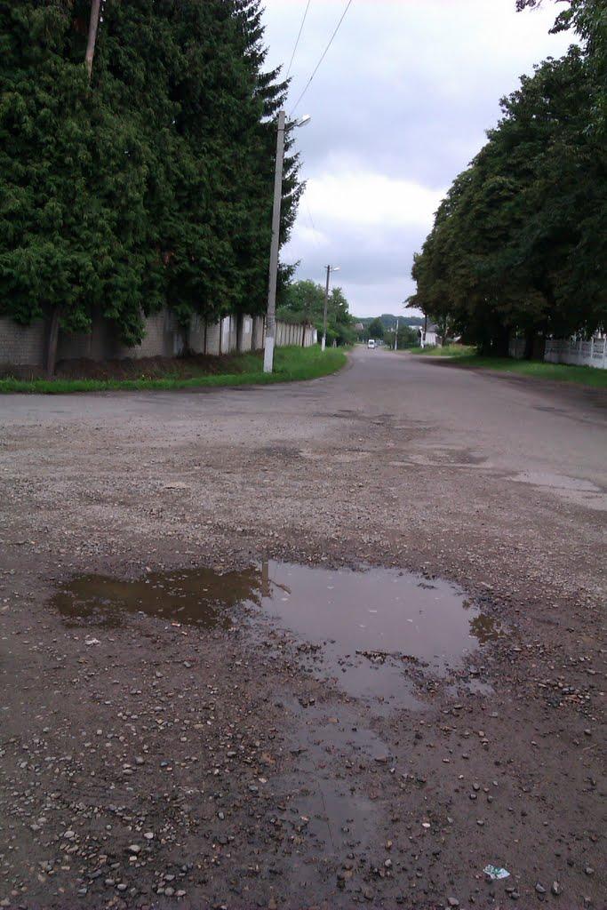 Старий Яричів з panoramio.com - Старий Яричів