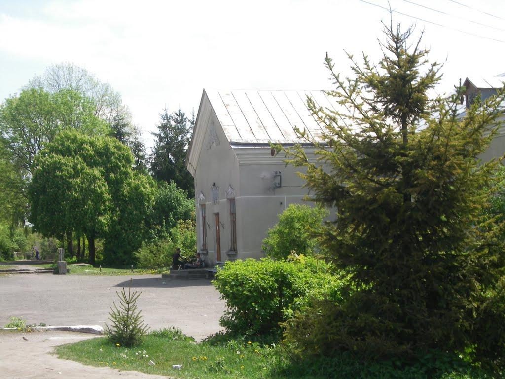 Матвіївці з panoramio.com - Матвеевцы