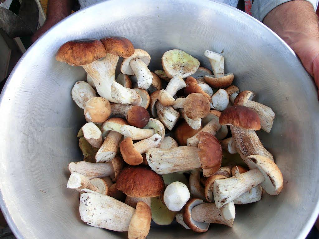 Бондарня з panoramio.com - Бондарня