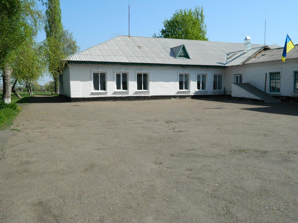 Шишкине з panoramio.com - Shyshkyne