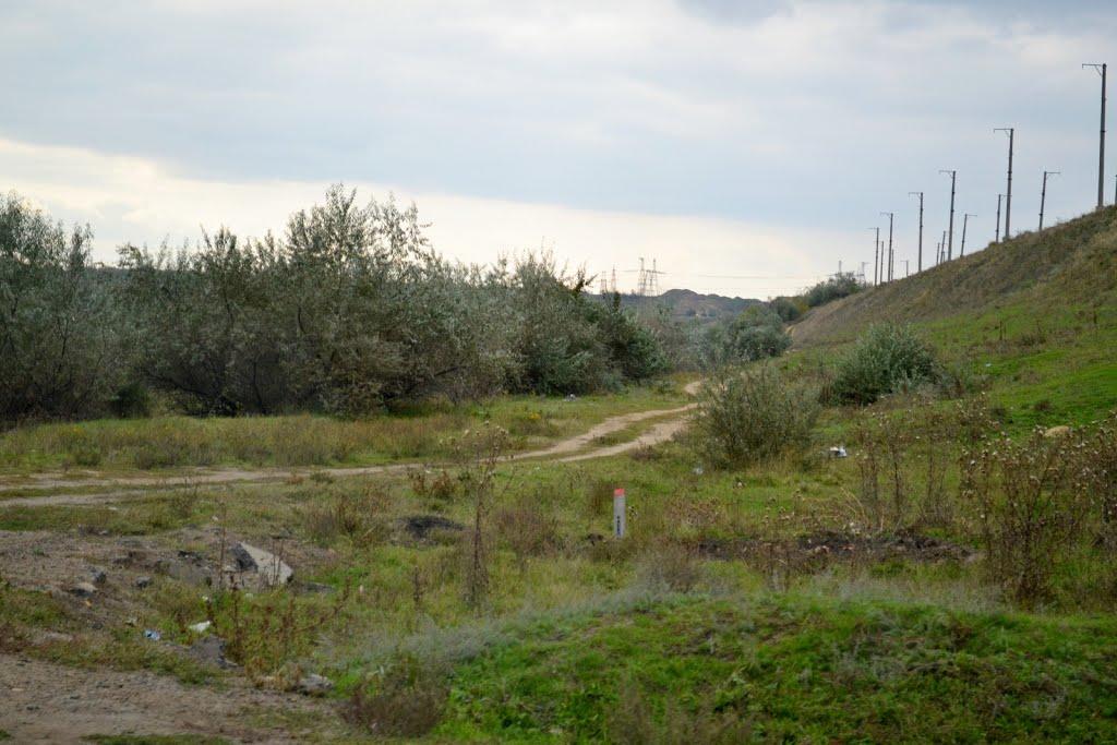 Павлівка з panoramio.com - Павлівка