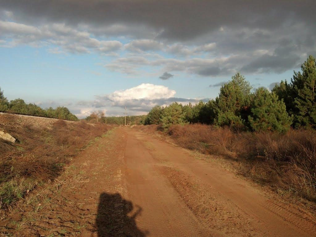 Галицинове з panoramio.com - Галициново