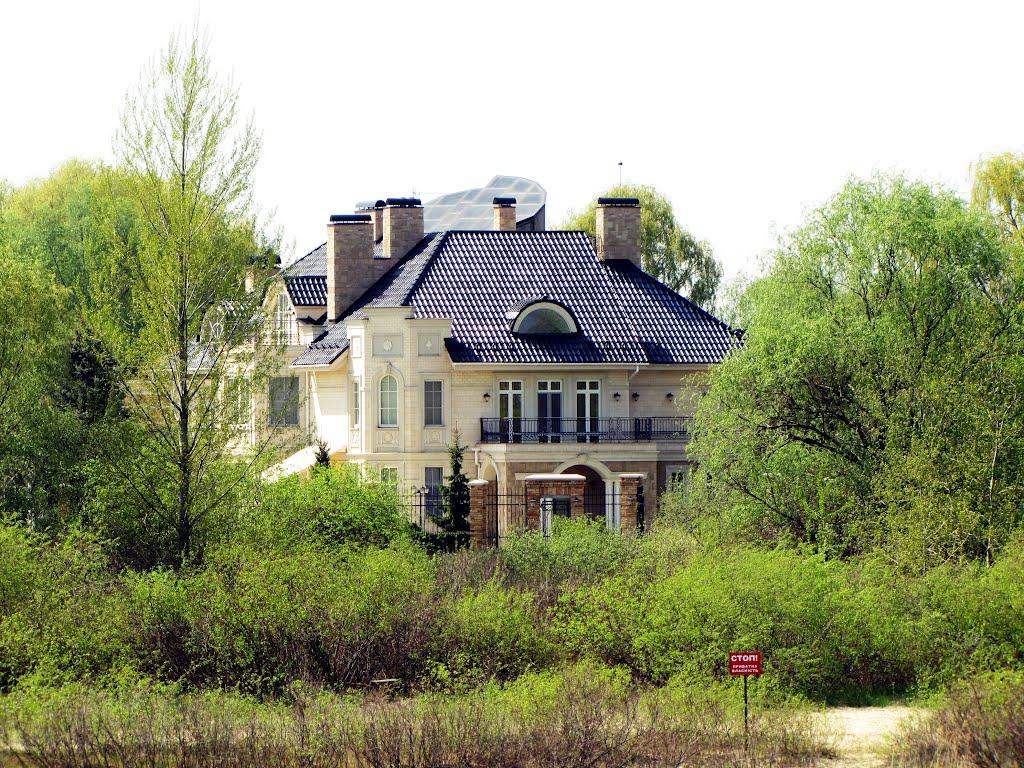 Козин з panoramio.com - Kozyn