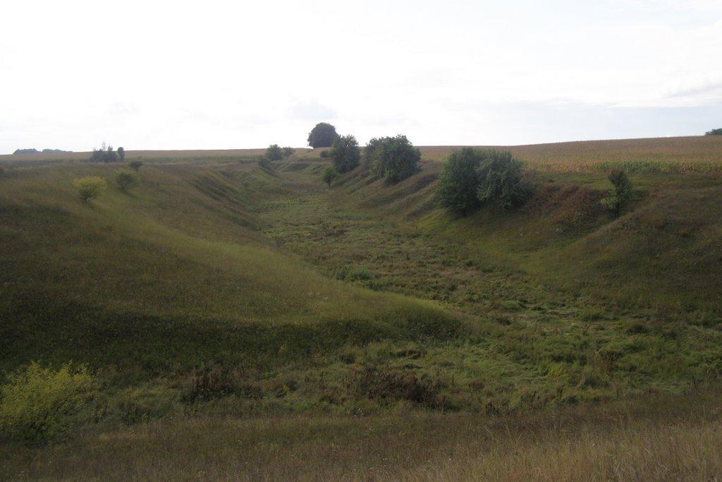 Новаки з panoramio.com - Новаки