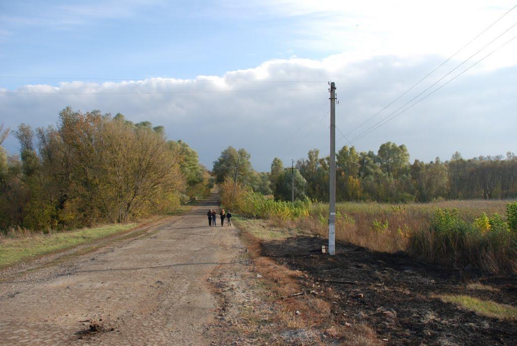 Катеринівка з panoramio.com - Катериновка