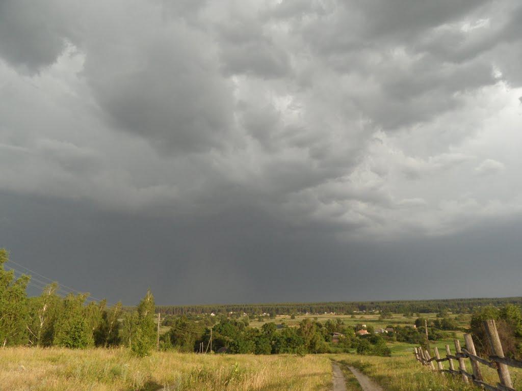 Литовка з panoramio.com - Литовка