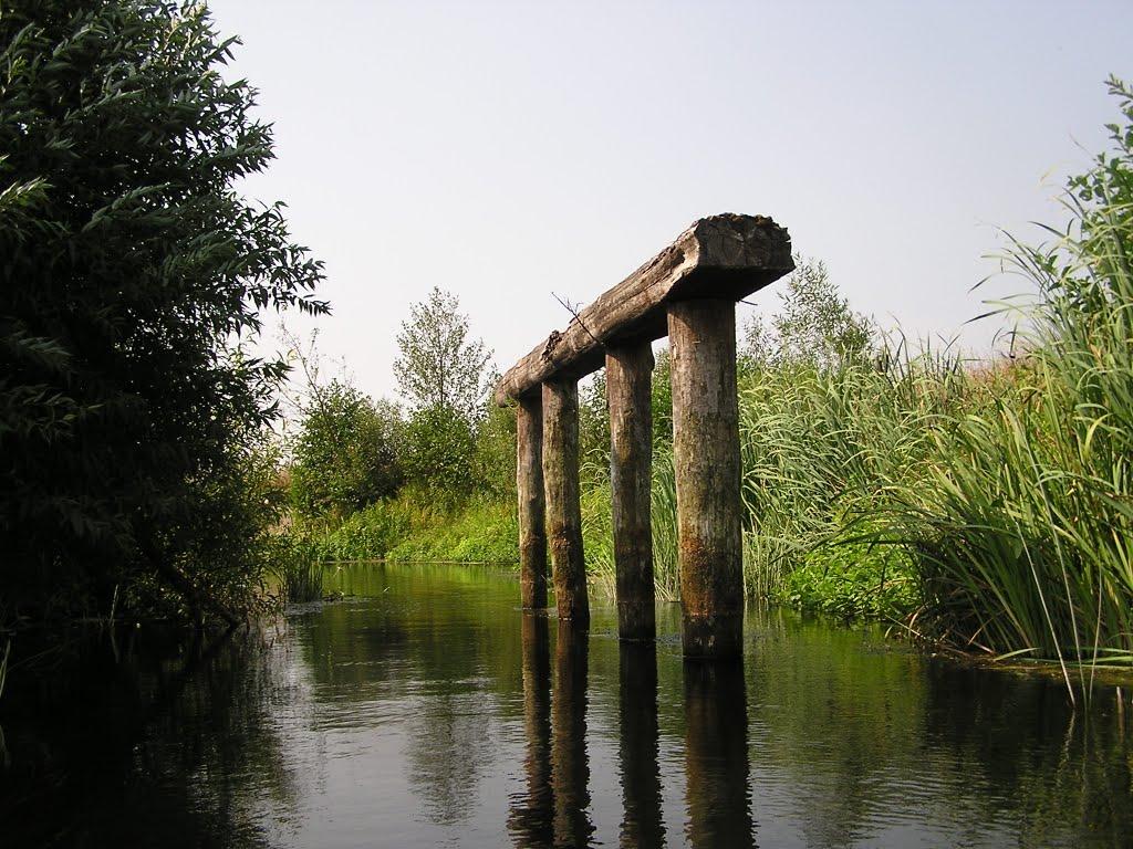 Риботень з panoramio.com - Рыботень