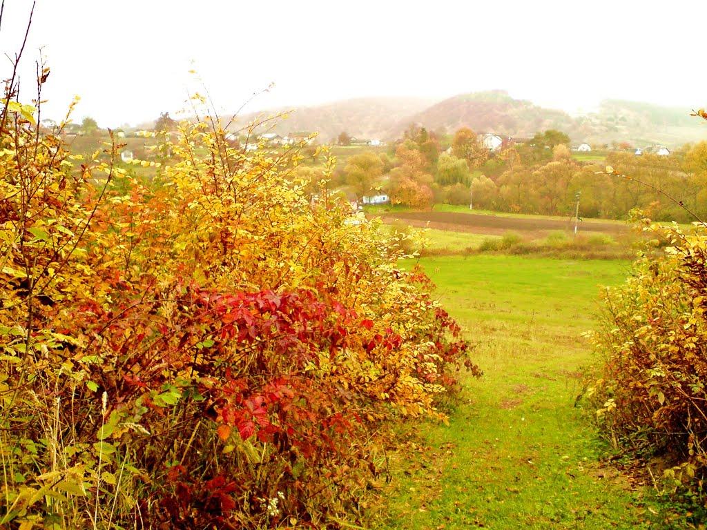 Рогачин з panoramio.com - Rogachyn