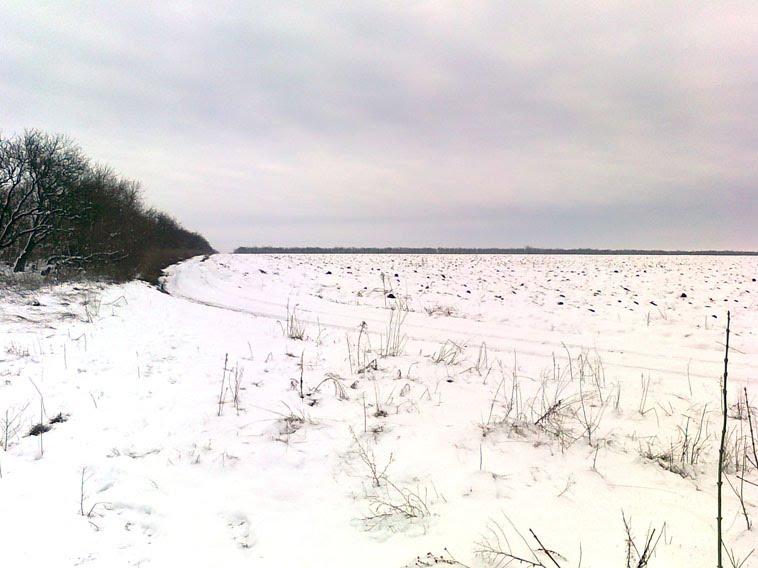 Бутівка з panoramio.com - Бутівка