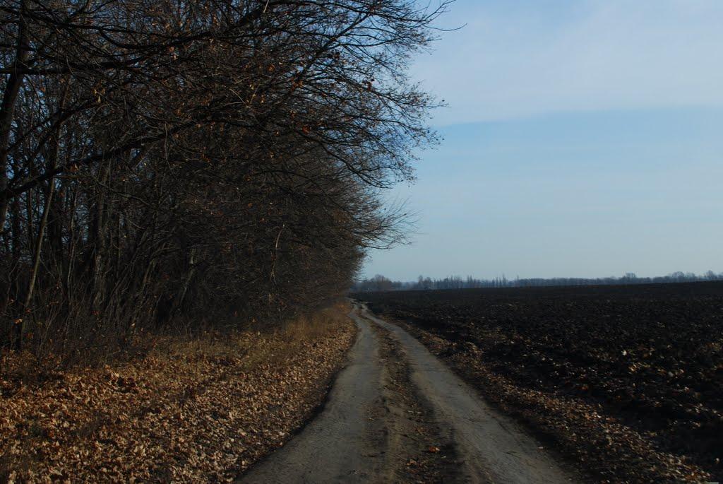 Велика Севастянівка з panoramio.com - Велика Севастянівка