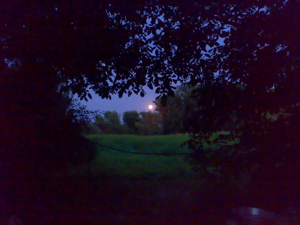 Васьківка з panoramio.com - Васьковка