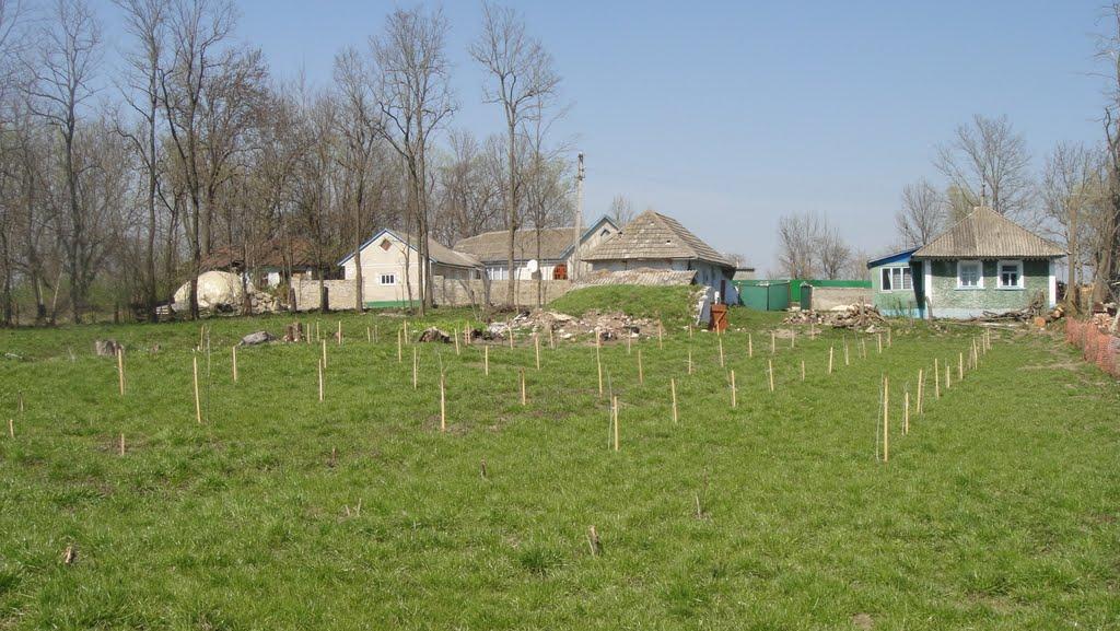 Стара Гута з panoramio.com - Старая Гута