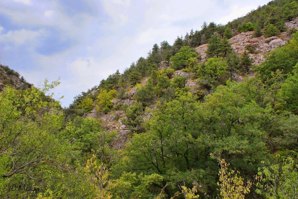 Родниківське з panoramio.com - Родниківське