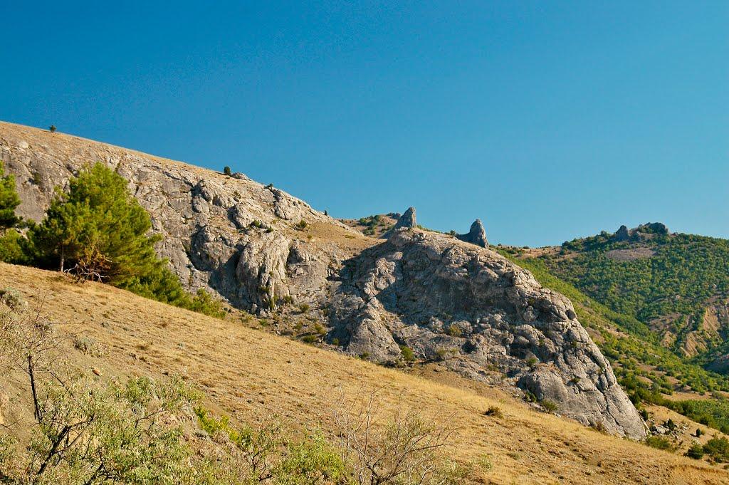 Долина з panoramio.com - Долина
