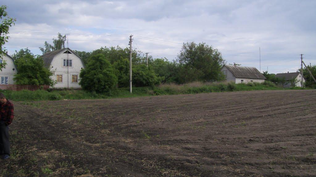 Васьківка з panoramio.com - Васьківка