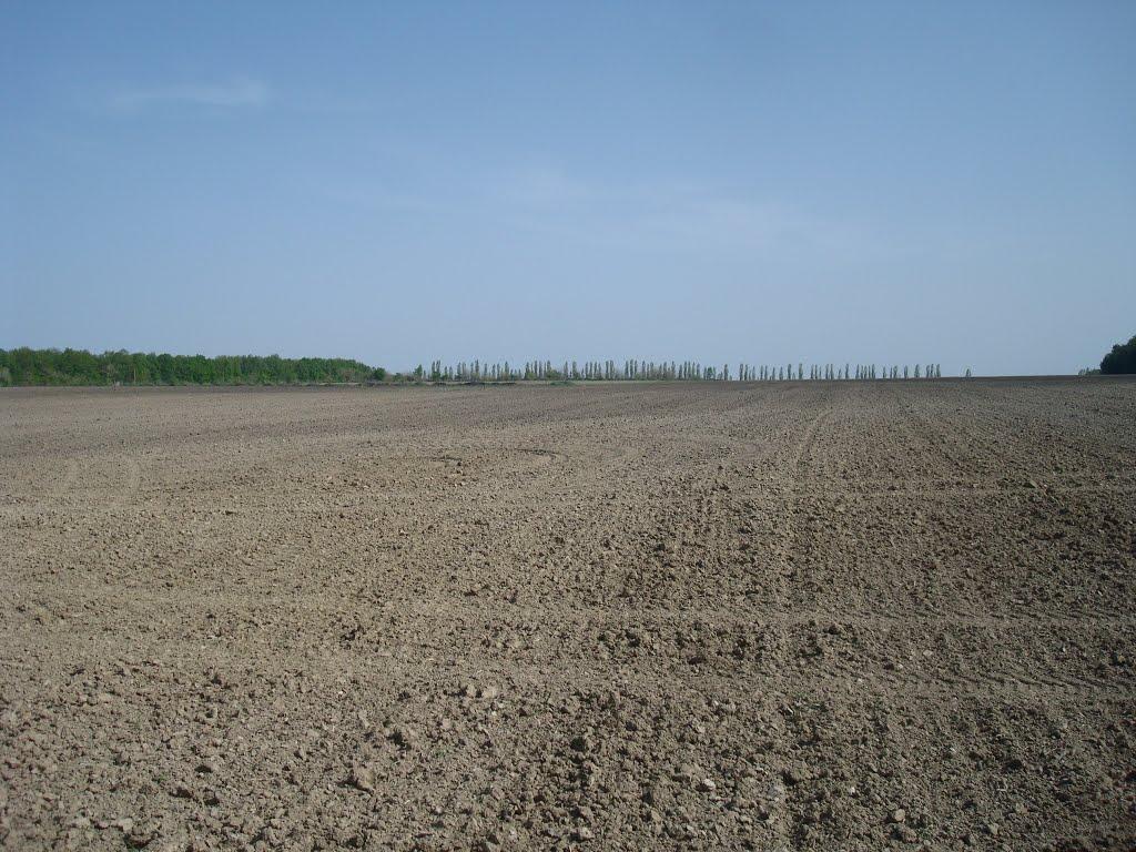 Маціорськ з panoramio.com - Маціорськ