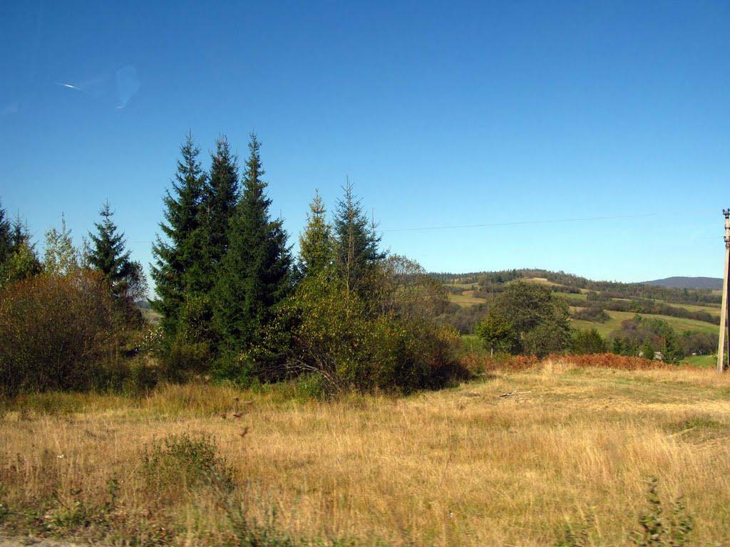 Дусино з panoramio.com