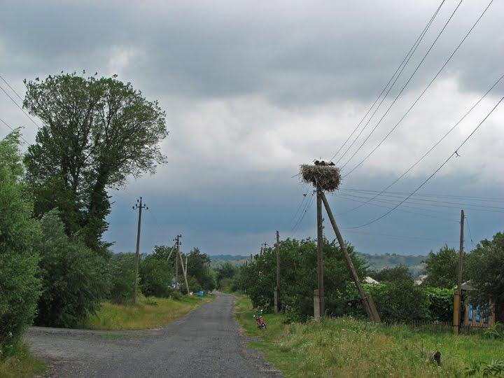 Колосівка з panoramio.com - Колосовка
