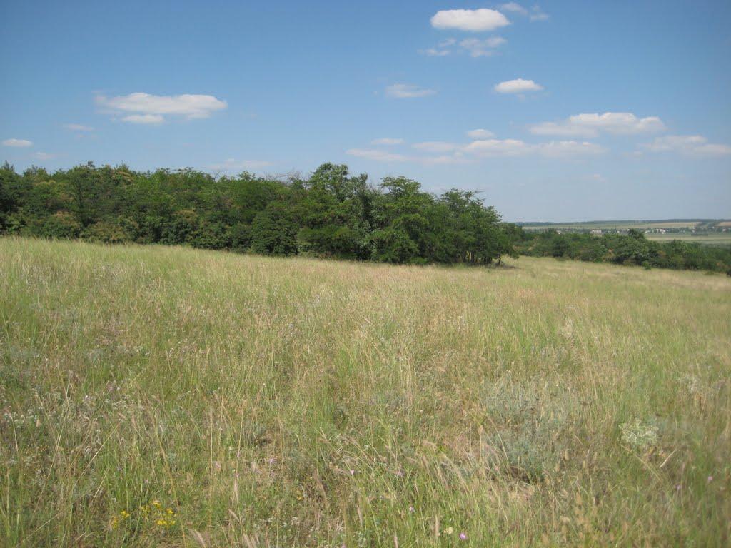 Інгулка з panoramio.com - Ингулка